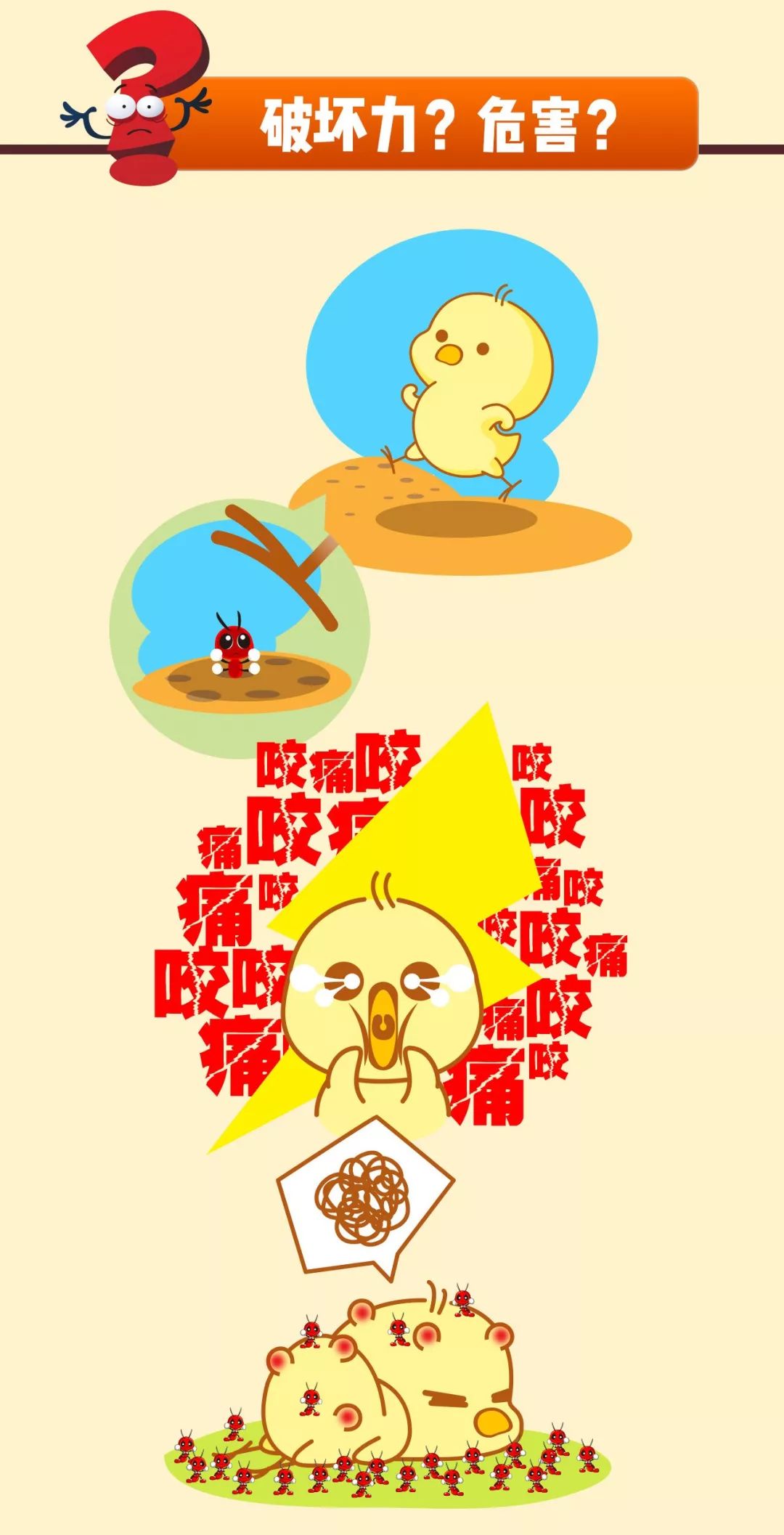 DƬ
